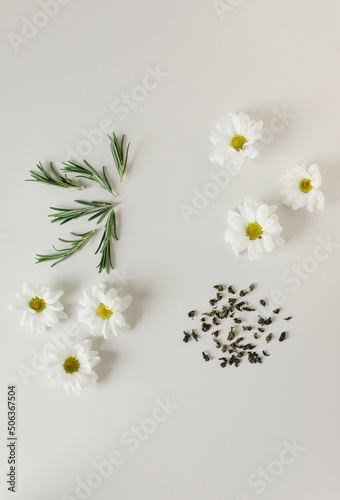 Layout of flowers, rosemary and tea leaves on a gray background. Background for the product. Flatlay.