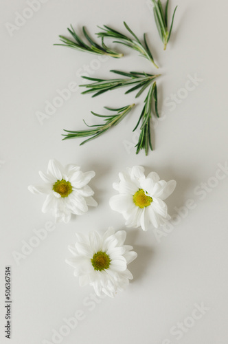 Layout of flowers, rosemary on a gray background. Background for the product. Flatlay.