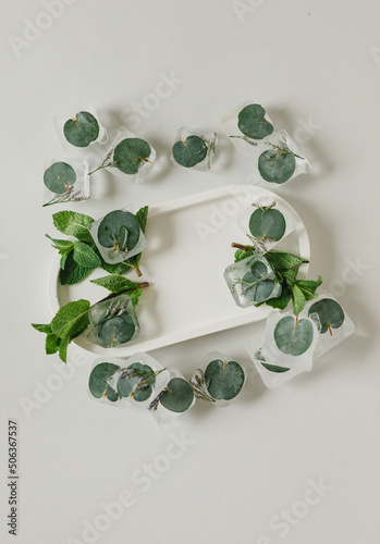 Ice cubes with eucalyptus and mint with a white product tray on a gray background. Flatlay. Background for products.