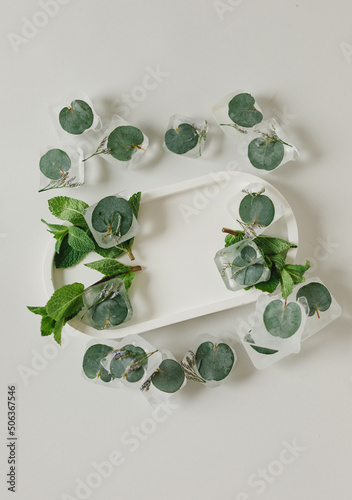 Ice cubes with eucalyptus and mint with a white product tray on a gray background. Flatlay. Background for products.