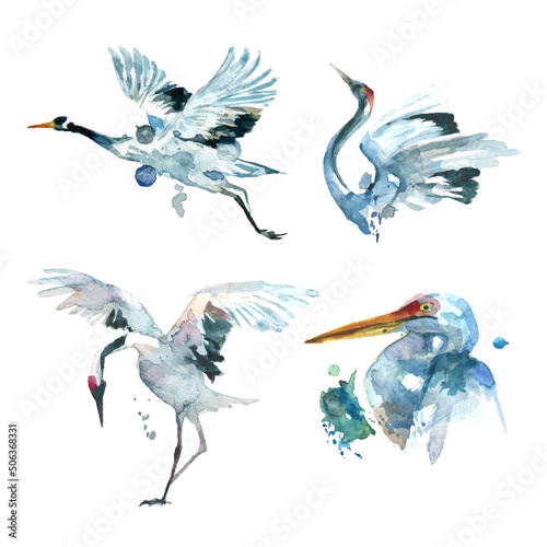 Watercolor painting of crane birds collection (Separately Arranged) 1. 