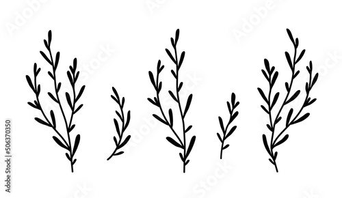 decorative olive laurel branches set with leaves