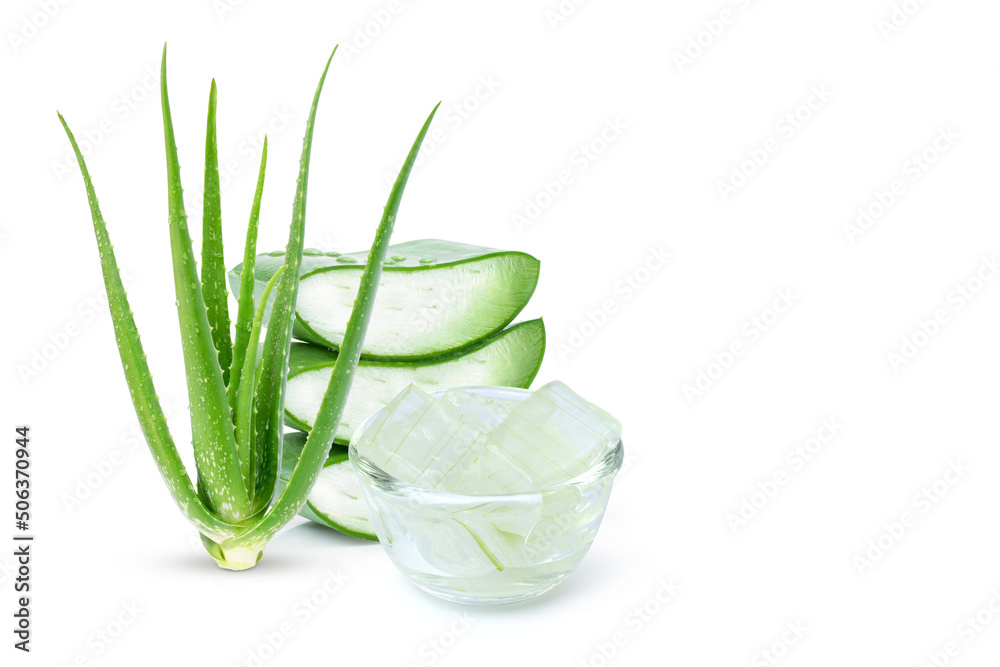 Aloe Vera gel with Aloevera plant and cut slice isolated on white  background. Skin care, health, beauty and spa concept. Copy space. foto de  Stock | Adobe Stock