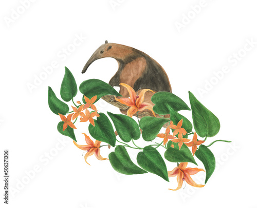 Watercolor painting tamandua with  flowers isolated on white