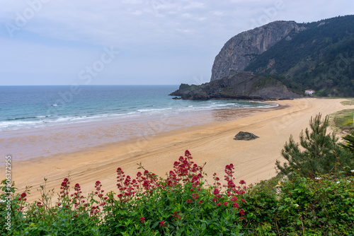 view of the picturesque bay and beach of Laga in the Spanish Basque Country