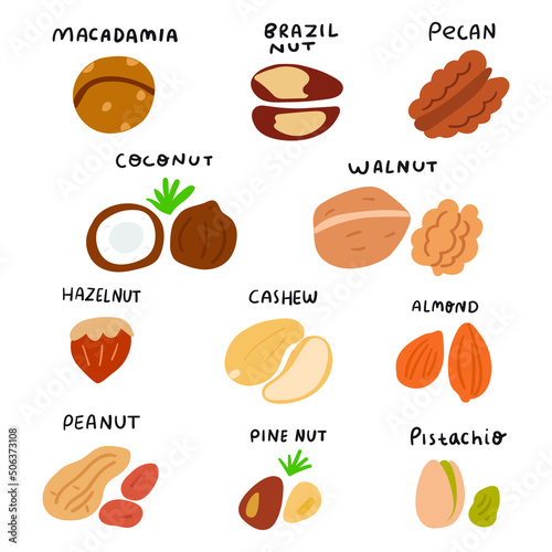 Collection of nuts illustrations. Hand drawn vector icons on white background.