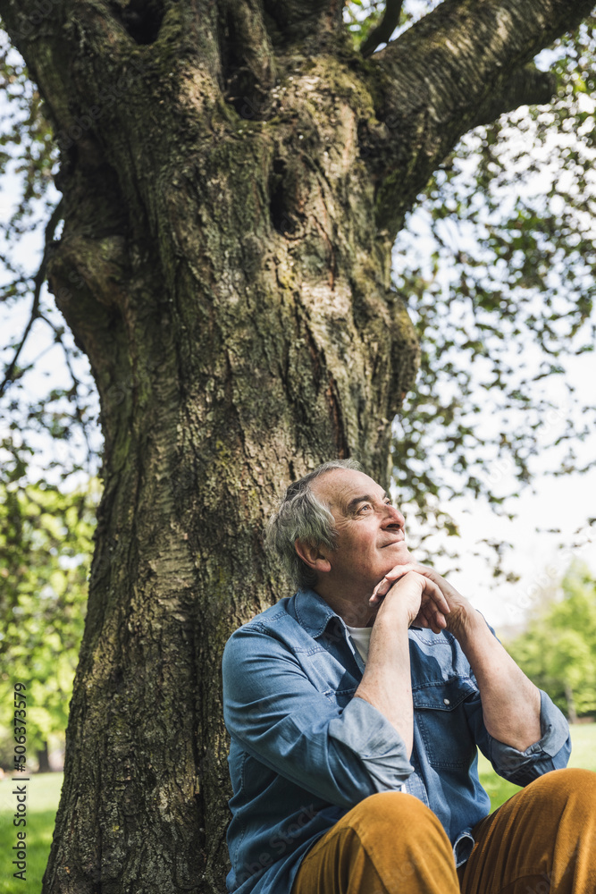 Smiling senior man sitting in front of tree at park Smiling senior man sitting in front of tree at park