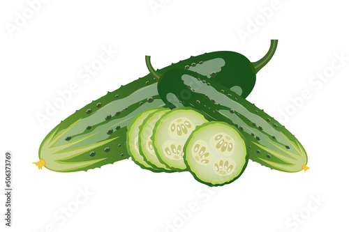 Fresh cucumbers whole and slices, flat style vector illustration isolated on white background