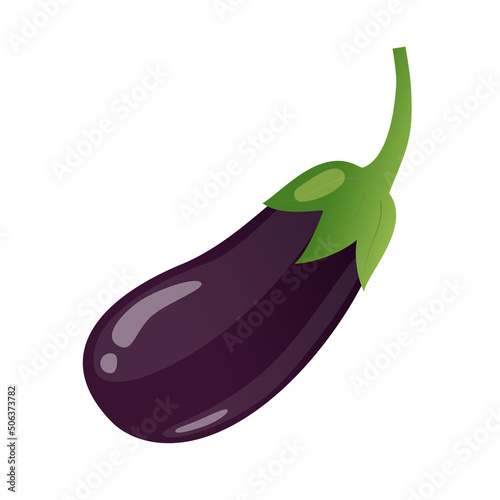 Eggplant, flat style vector illustration isolated on white background