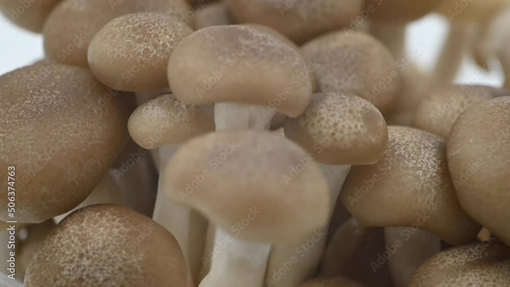 Shimeji Japanese mushrooms spinning in the background Shimeji Japanese mushrooms spinning in the background