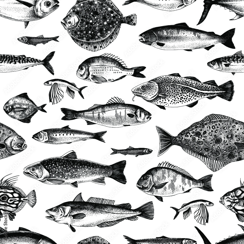 Hand drawn seamless pattern with different types of edible sea fishes. Vector illustration made with clipping mask. Perfect for apparel, fabric, textile, wrapping paper.