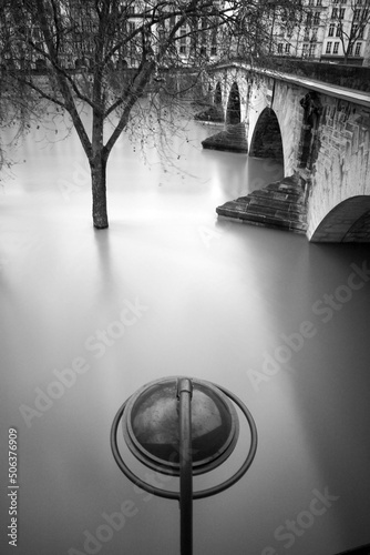 Murais de parede A tree by the bridge in flood time on the river Seine of Paris.