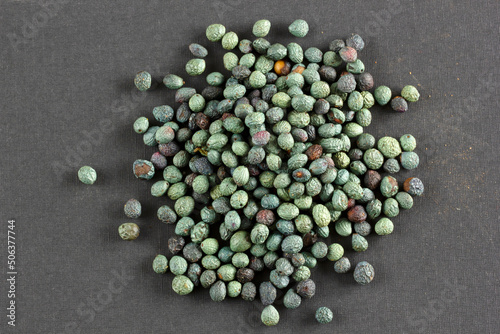 Pistacia terebinthus, Fruits of Terebinth. Menengic seeds. Citlembik.