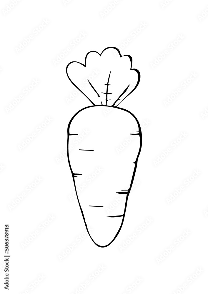 illustration of a carrot in vector art illustration of a carrot in vector art