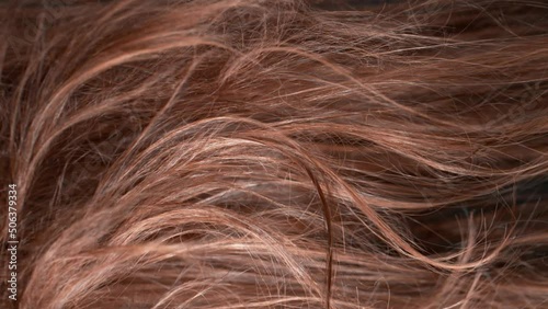 Super Slow Motion Shot of Waving Disheveled Brown Hair at 1000 fps. photo