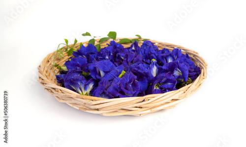 Butterfly pea flowers with green leaves on wooden basket isolated on white background.