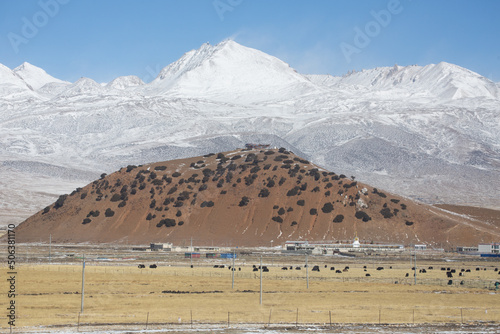 The Tibetan Plateau landscape photo