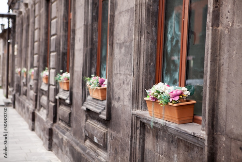 pot of flowers by the window on the house © S...