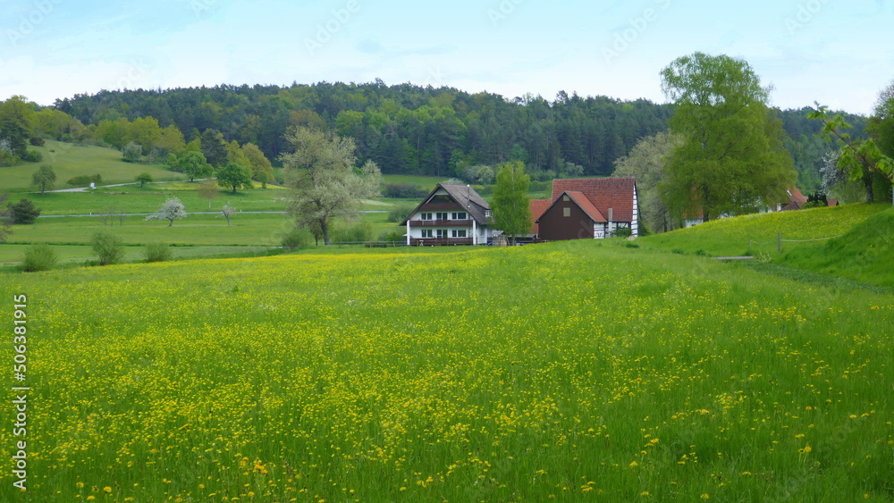 Bauernhof umrahmt von einer Blumenwiese in einer Heckengäulandschaft