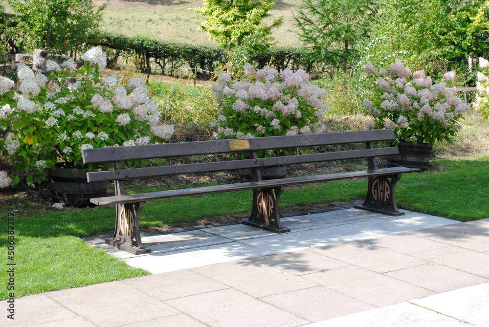 Old Empty Wooden Bench with Flowers on Sunny Day Old Empty Wooden Bench with Flowers on Sunny Day