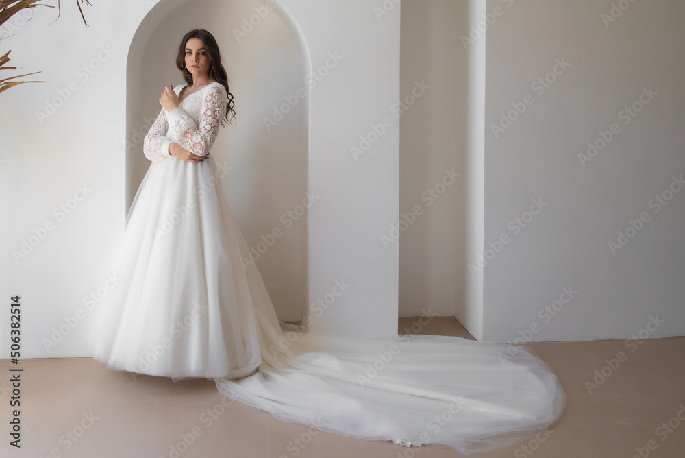 Beautiful bride in a luxurious wedding dress on white background Beautiful bride in a luxurious wedding dress on white background