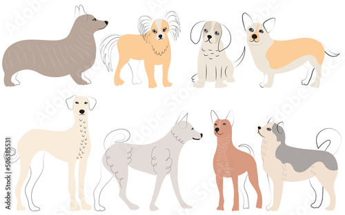 dogs doodle set  cartoon cute dog  isolated  vector