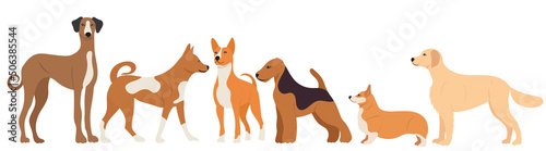 dogs of different breeds flat design    isolated  vector