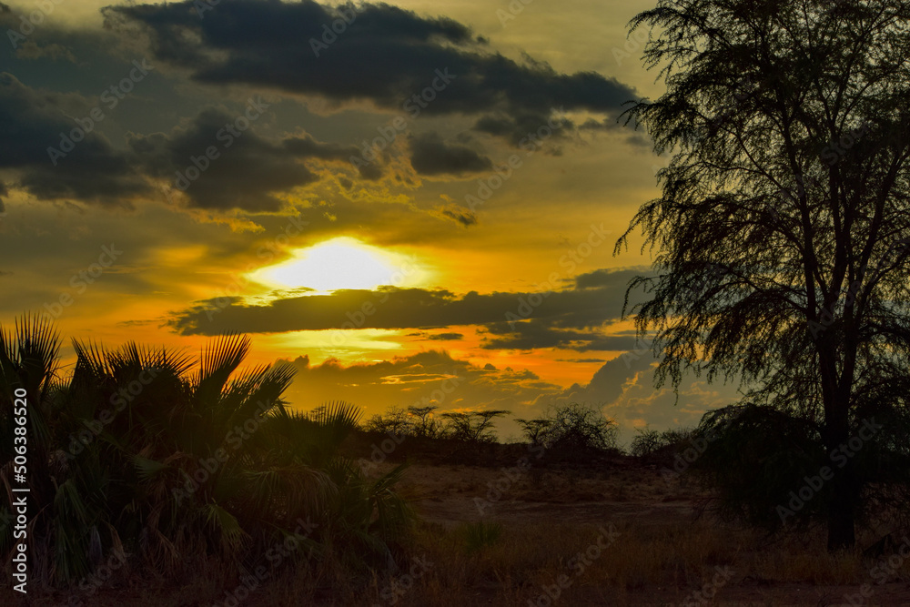 Obraz premium Golden sunset at Smaburu National Park, Kenya