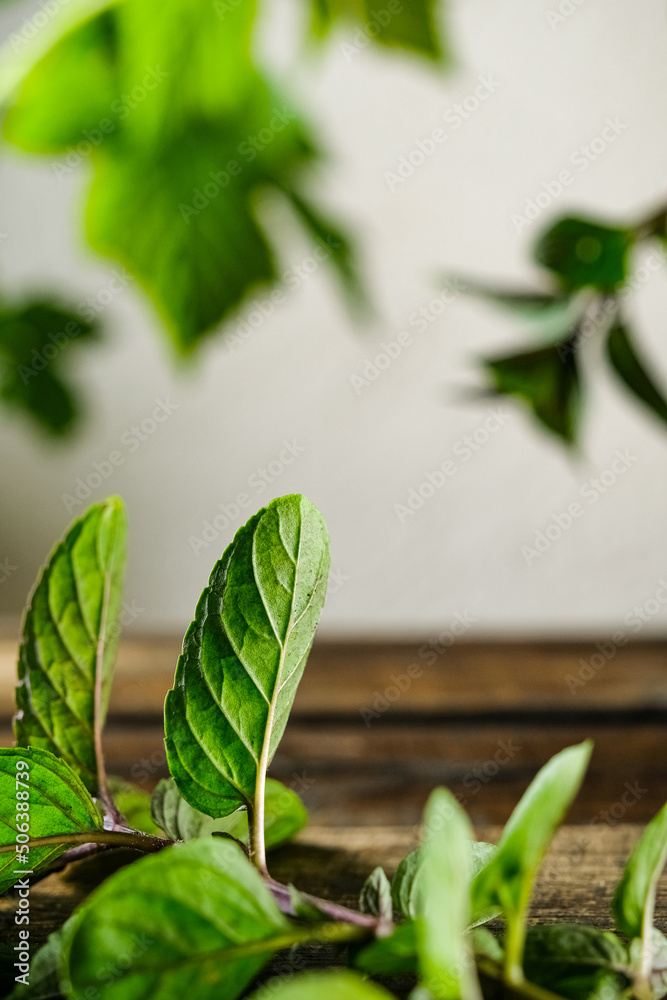 fresh herbs on a wooden background fresh herbs on a wooden background