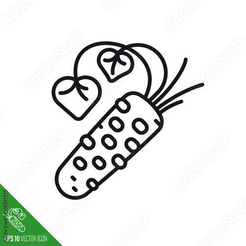 Wasabi rhizome with leaves vegetable vector line icon