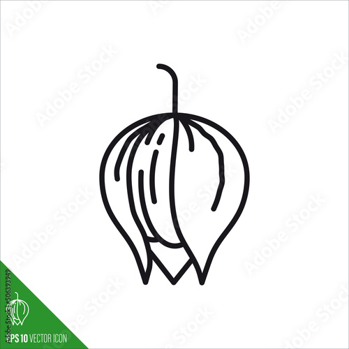 Tomatillo vegetable vector line icon