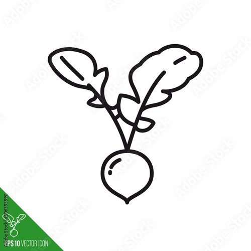 Radish root line icon vector illustration