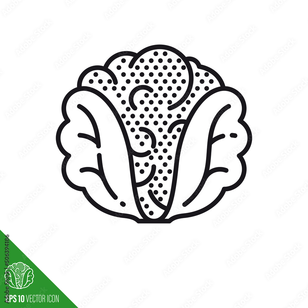 Cauliflower cabbage line icon vector illustration