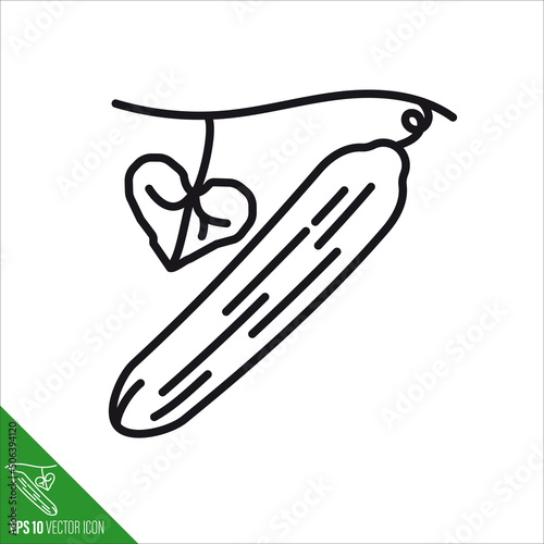 Cucumber vegetable line icon vector illustration