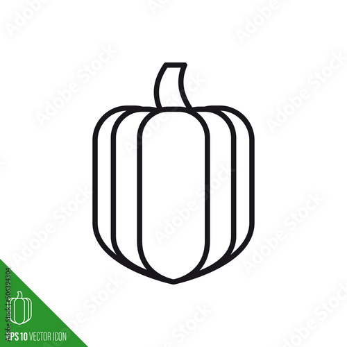 Acorn squash line icon vector illustration