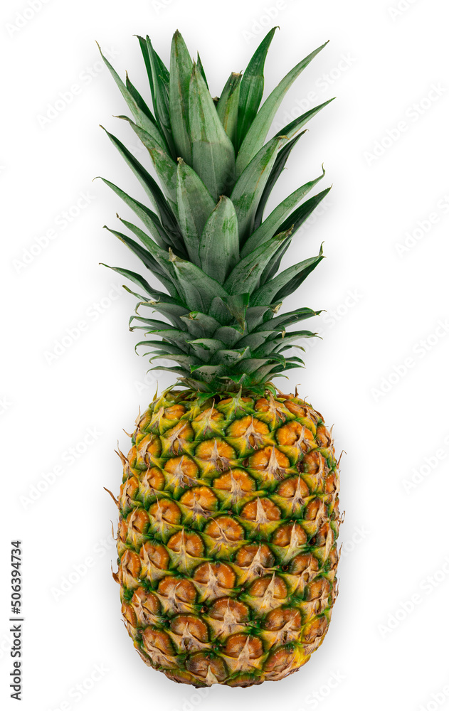 Yellow Ripe ripe pineapple on white background Yellow Ripe ripe pineapple on white background