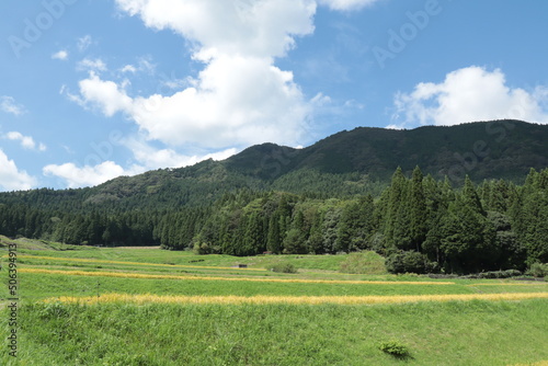 田舎の風景