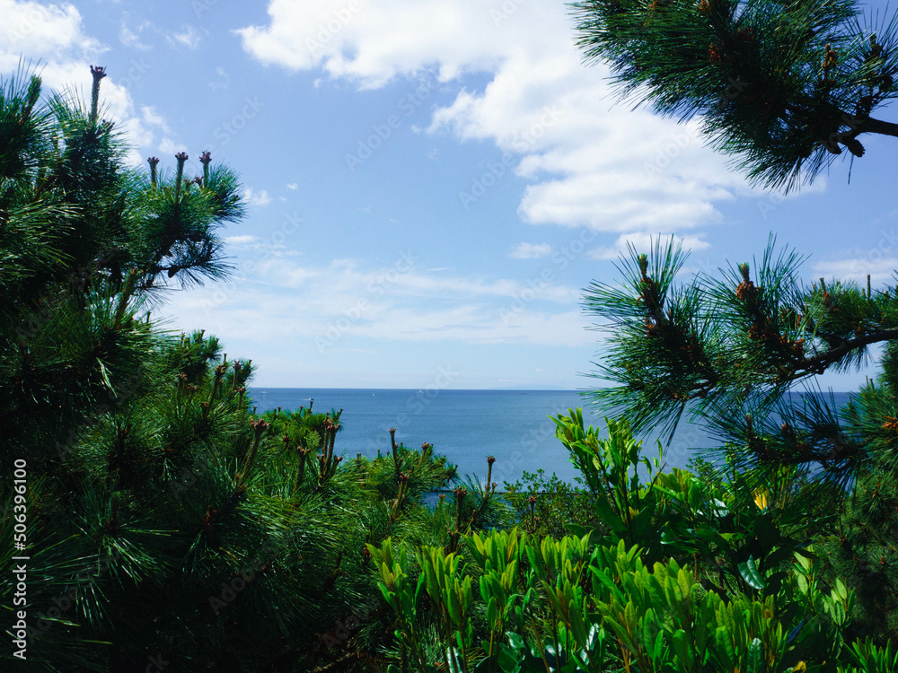 湘南の海