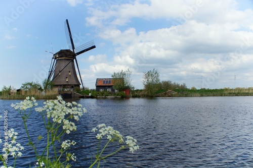 Windmühle: "Holland wie aus dem Bilderbuch"