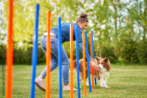 Fotografi Chocolate White Border Collie with woman owner