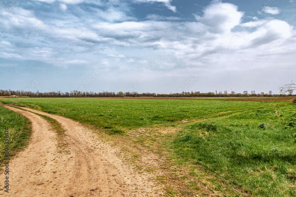 Dirt driveway through green fields and cloudy sky. Spring view. An empty dirt road through cultivated fields towards the countryside. Young green wheat fields in spring. Dirt driveway through green fields and cloudy sky. Spring view. An empty dirt road through cultivated fields towards the countryside. Young green wheat fields in spring.