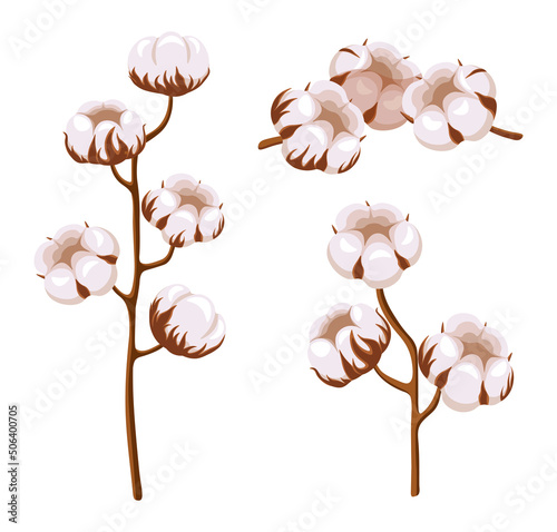 Set of fresh white cotton in cartoon style. Vector illustration of plants large and small sizes on the crowns and separately on white background.