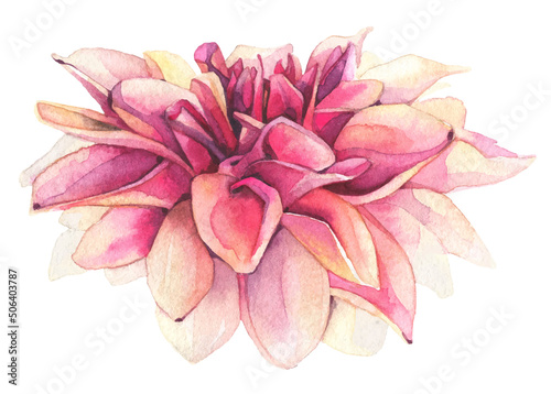 Foto Watercolor hand painted pink, orange dahlia isolated on white background