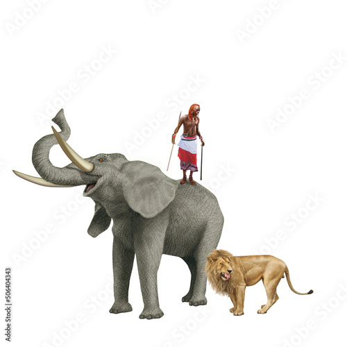   l  phant  animal  zoo  pachyderm  naturesafari   afrique  guerrier massai  animal  lion  mammif  re  fauve  courageux  docile  dangereux  illustration  canid    keya  afrique  menasse  zoologique  sauva