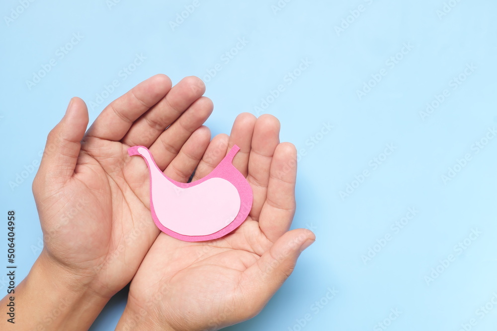 Top view of human hand holding stomach paper cutout. Stomach care, health, healthy digestion and ulcer prevention concept. Top view of human hand holding stomach paper cutout. Stomach care, health, healthy digestion and ulcer prevention concept.