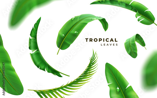 Tropical 3D realistic leaves background, vector design element. Exotic green palm leaf, botanical spring or summer plants, paradise decoration backdrop. Floral rainforest jungle foliage, greenery