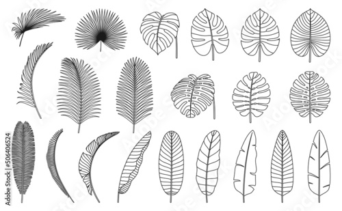 Monstera and palm tree leaves icon isolated line foliage set outline strokes. Vector illustration of rainforest design elements, thin line exotic jungle bush signs, flat style linear leafage