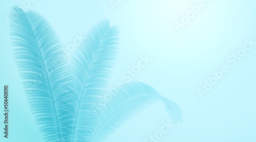 Shade of tropical leaves or fern, exotic leafage shadow background. Vector illustration of palm tree on blue backdrop, mockup with palm branches silhouette, exotic leafage overshadow