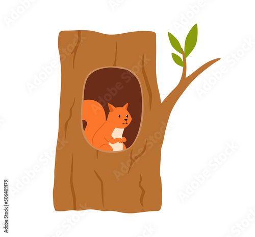 Squirrel is sitting in a hollow tree, vector flat illustration on a white background.