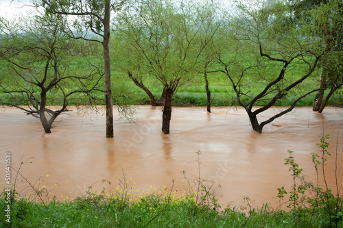 Following a winter rainstorm, the Jordan River in northern Israel swells with brown, muddy water, overflowing its banks in springtime.